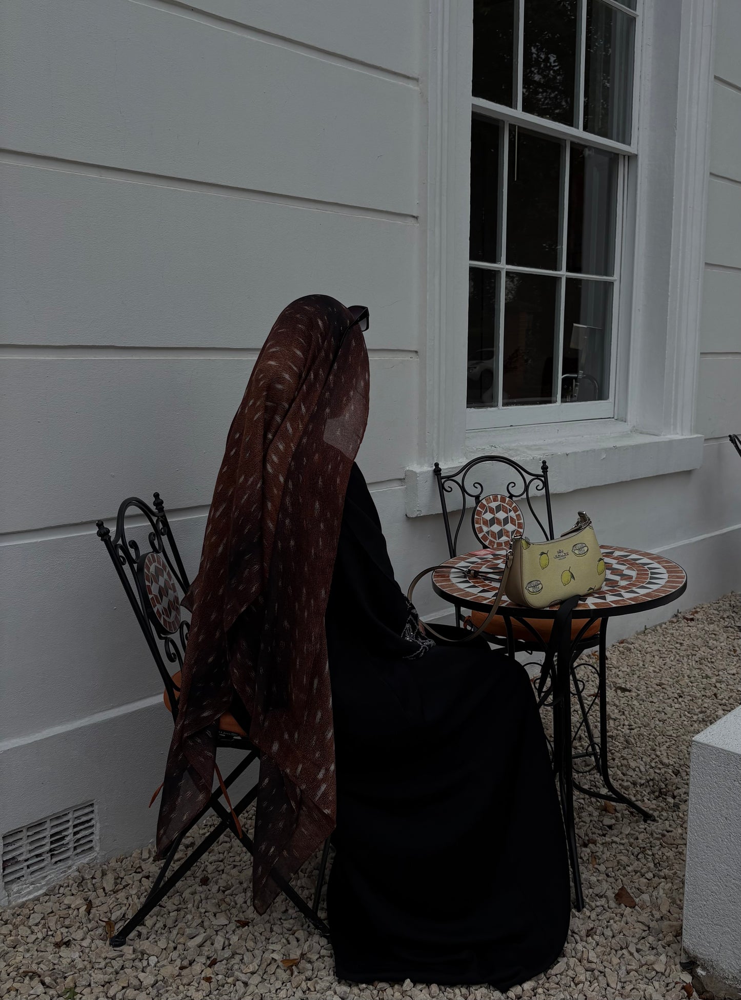 The ‘Bambi’ Veil